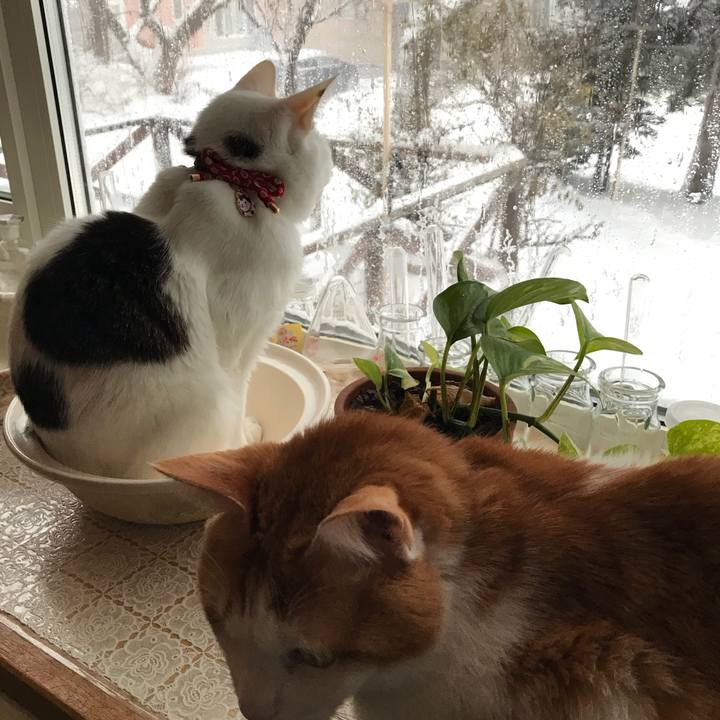 E8558688 fcf9 4a47 8e6d 4c6f656eed46 1546151175591