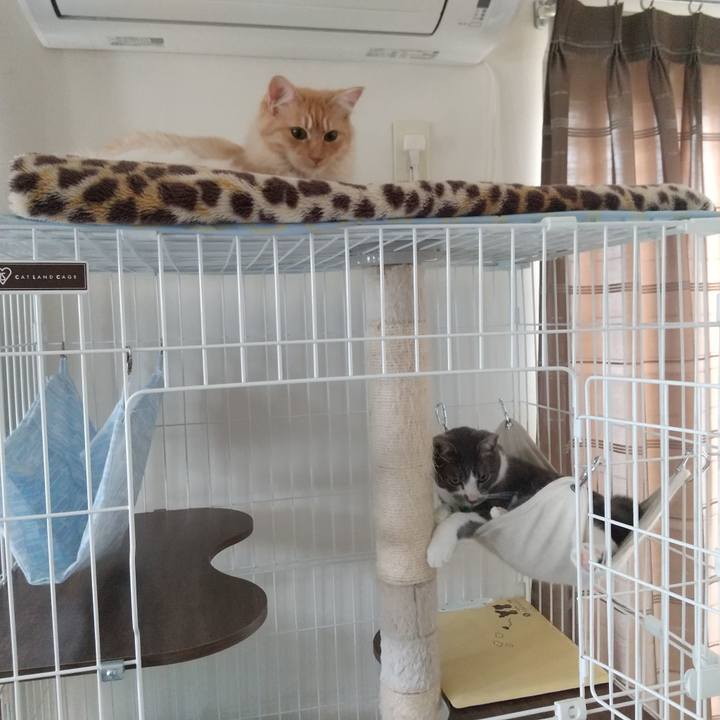 E8559dae d915 4d4e 8e91 749cde193717 1621997271214