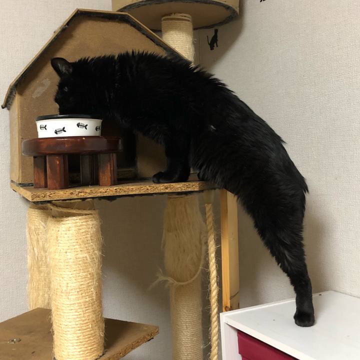 E855a255 723e 4b88 8f3b cd1398c5aa17 1607781564148