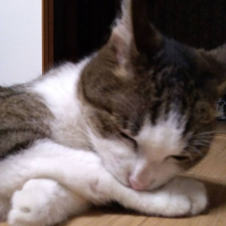 E855e7a2 a550 4dc4 8d09 f1e8c5108463 1525268657496