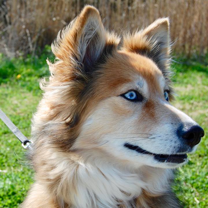 E855fc5e 4b83 4ee4 86ea 2d2712bc6f33 1521960555716