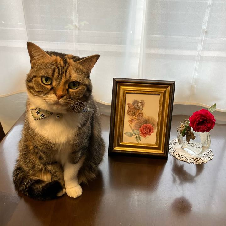 E8560216 32f4 48ea 94ae e0c12e6edd97 1765114026245