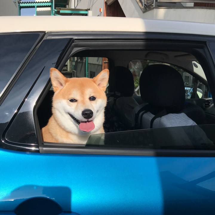 E85623ab 28df 4acf 8ca6 3c607587ba57 1537146920831