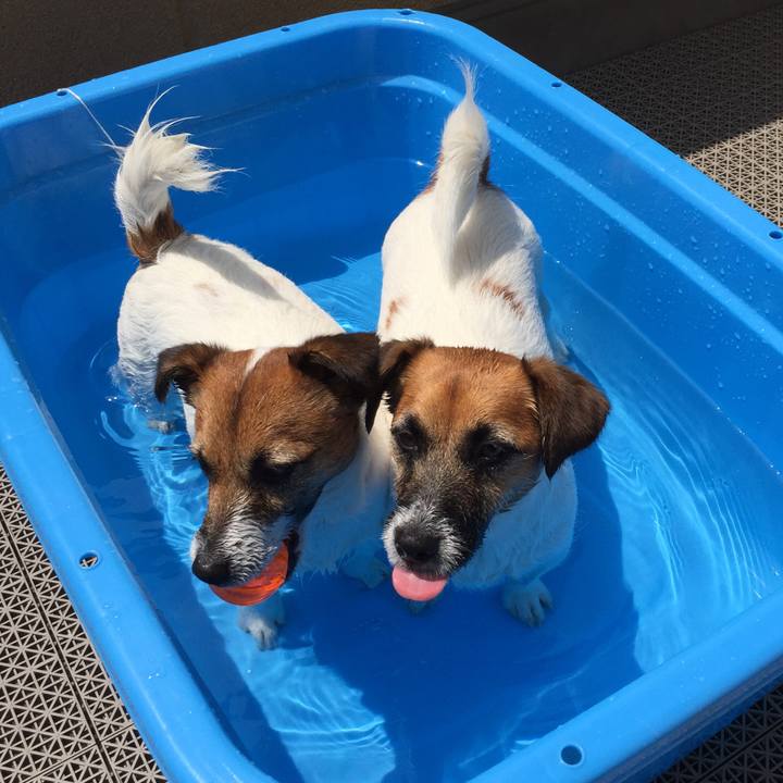 E8564295 06c9 4906 94da 663d1f13a2b7 1525054228314