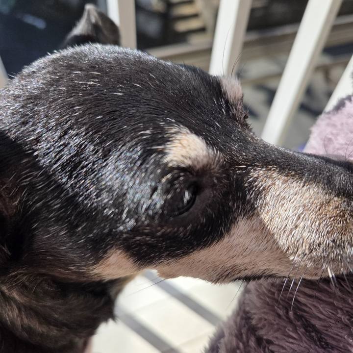 E85645de bcac 4aa1 9c12 214bb8b72c81 1762225285720