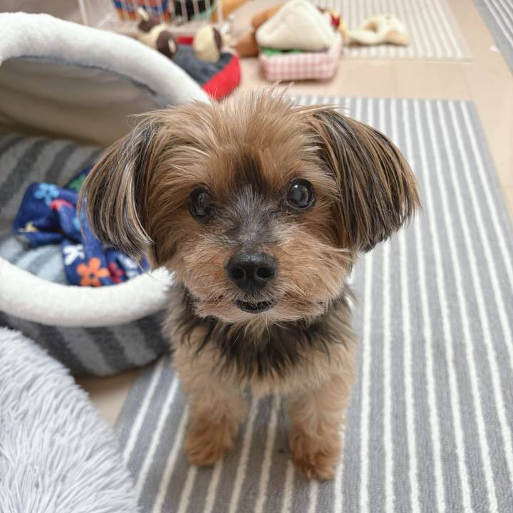 E85654f6 c0e3 49df a552 970c982bec19 1750288238631