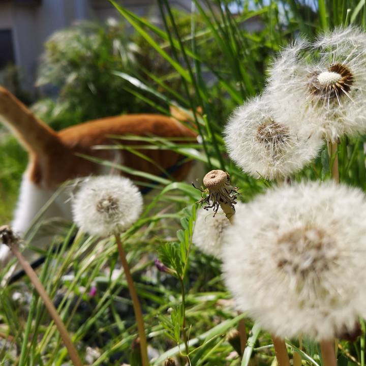 E85658c6 49fb 4d82 aadc 083ad6fd8b59 1557142914276