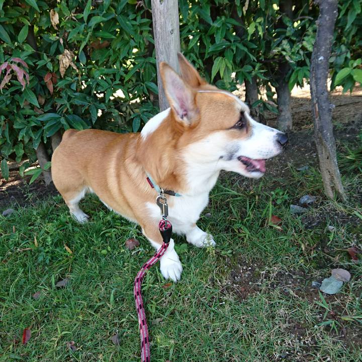 E856a64b 9b65 49bb 88d2 1781b7de71b3 1602379475231