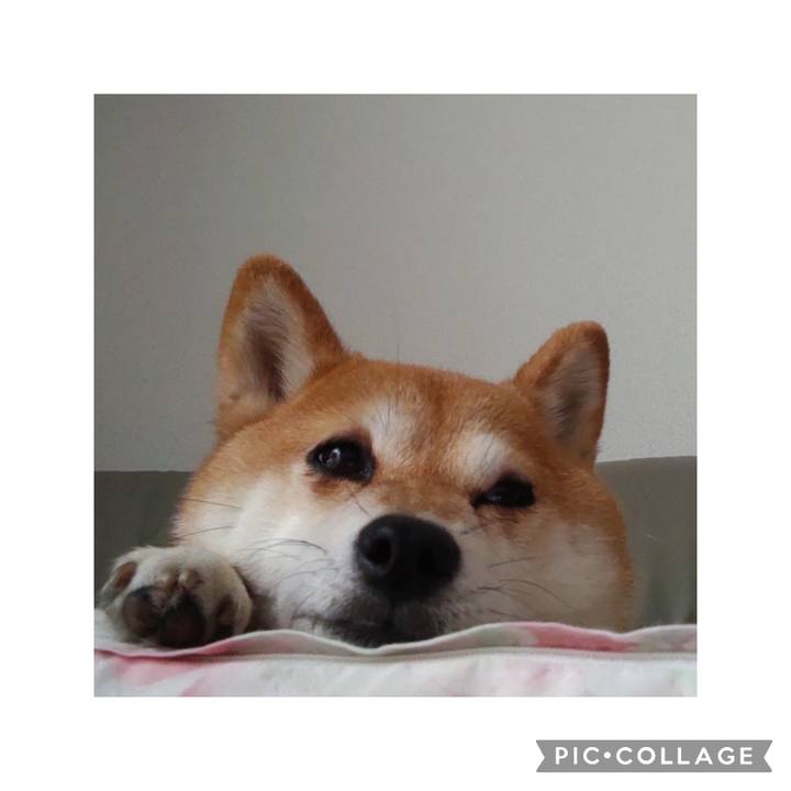 E856ad78 3f0a 4cb5 a9bd 9a67a746b03c 1749868473466