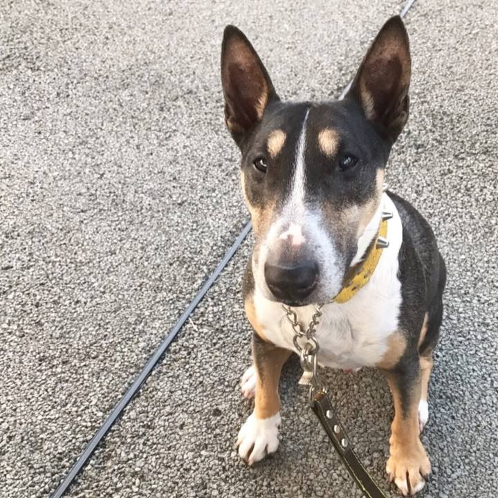 E856d5ef 0caf 4363 b1c3 029f5a3ce970 1509779048527