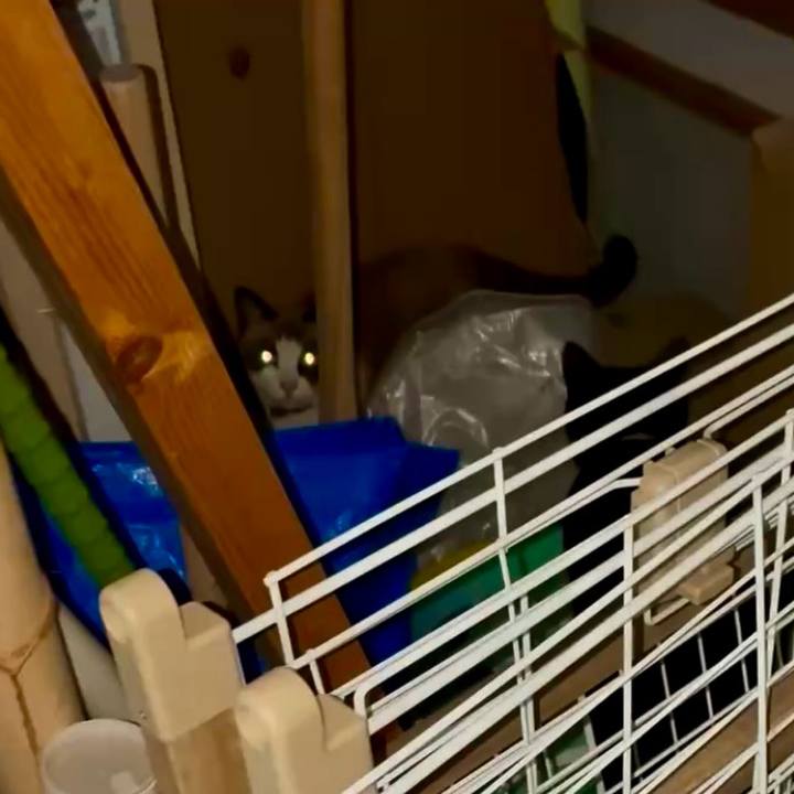 E856fdd9 169a 4c11 a311 58396312afa7 1765370033996