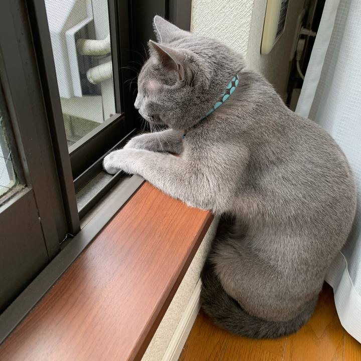 E8572705 efd3 42e6 bf1c 7fa4fecbec14 1620177868786