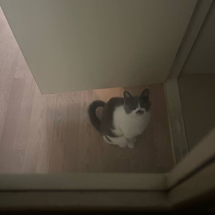 E8572d16 5f79 4e9a a937 a2cf82b0038d 1705131943080