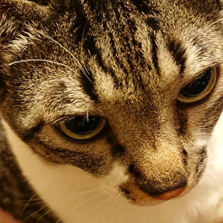 E8576eb1 4ff8 4fa3 8084 453d71372020 1614387906984