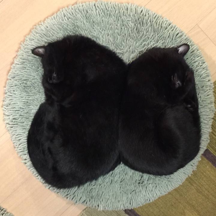 E857a3a8 cea4 4cdf abd8 af97bfacc9c4 1507983183247