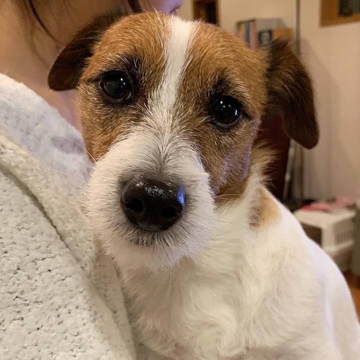 E857e6d7 55fd 4e62 ad3f 0cb09af39424 1547039755392