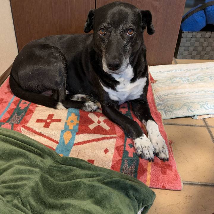 E857f299 1155 441c 97a8 499d3d809783 1744628419316