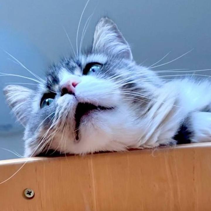 E858028f 9f10 4064 9b54 b3bf7660a090 1754149012215