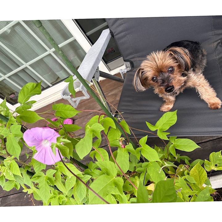 E8580d88 37ae 493f 9c1c 026ae946d5ce 1755309725024