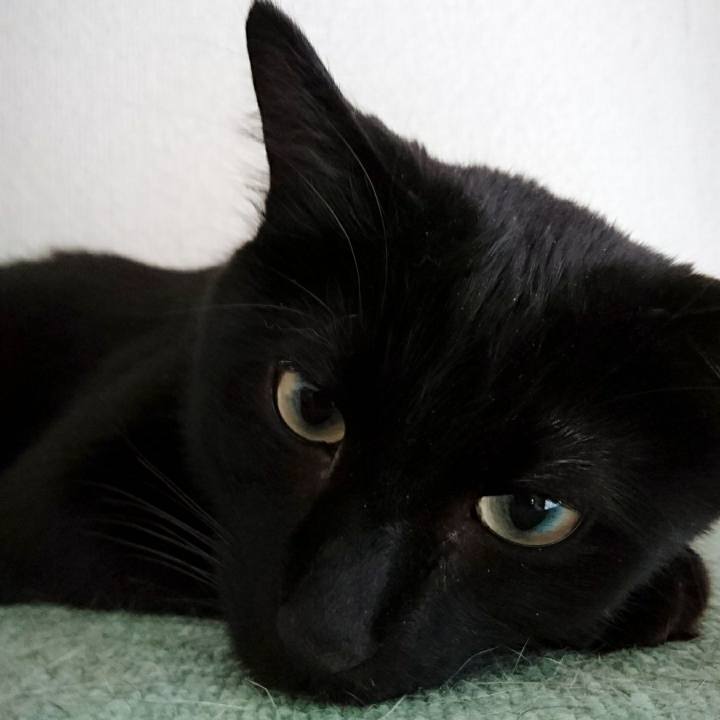 E8582da1 dcd6 464e bc86 82f24868d750 1553213301915