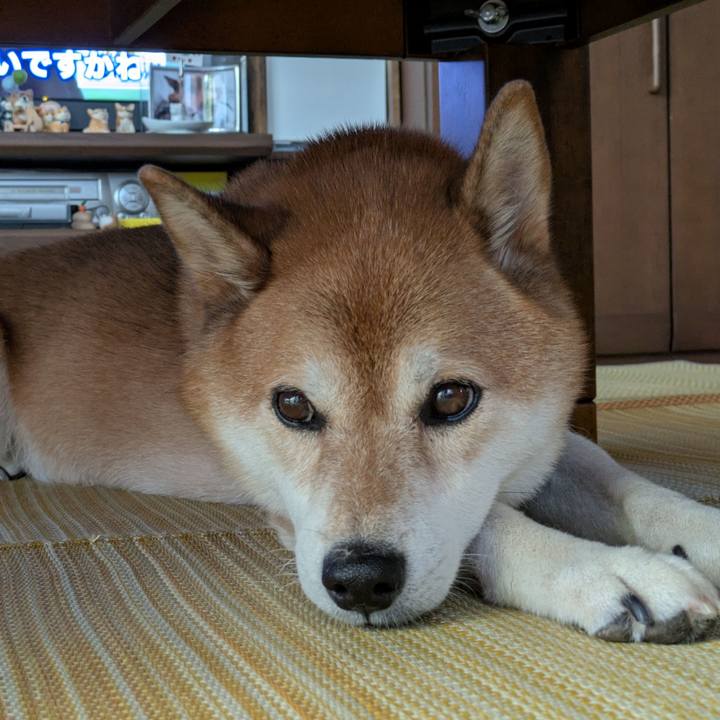 E8586344 a822 4e6e a0e6 33c59ef7ad03 1756119019770