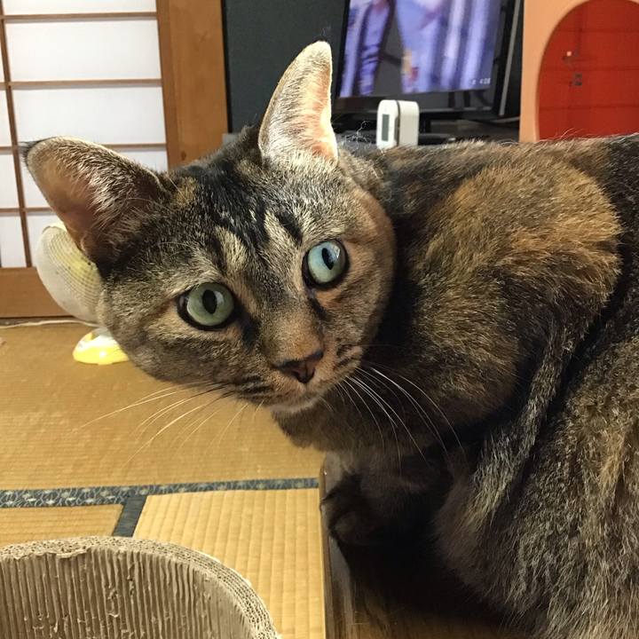 E85890bc cc8d 4f4a b8a4 86f0fb4781e0 1726557577921