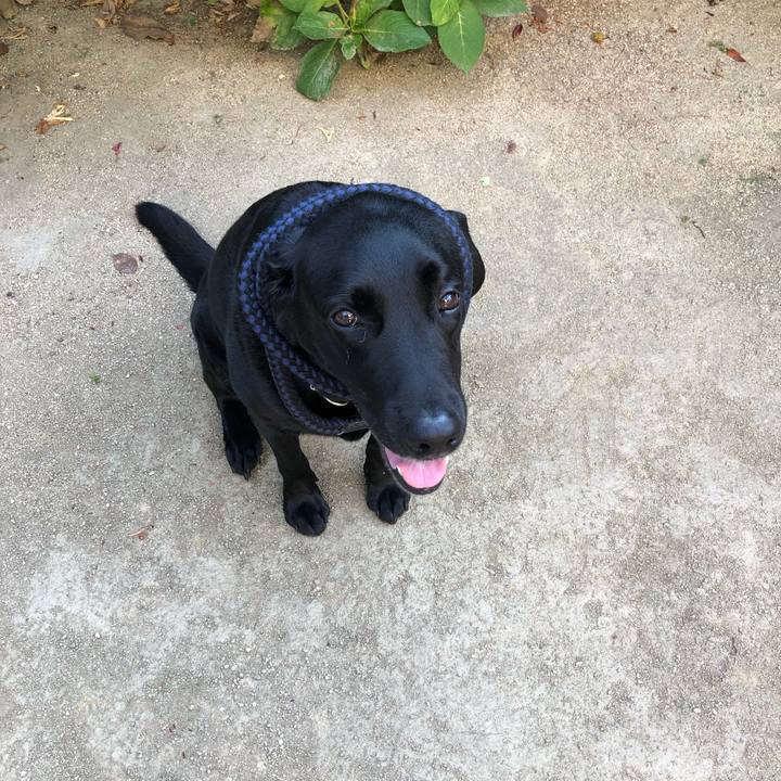 E858a35c 1249 4223 ae85 2d1f7ee5bf69 1628419620597