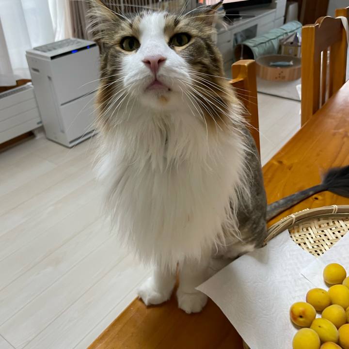 E858c2e8 f34c 4bbe 9dc6 711cd4728fa5 1687291716674