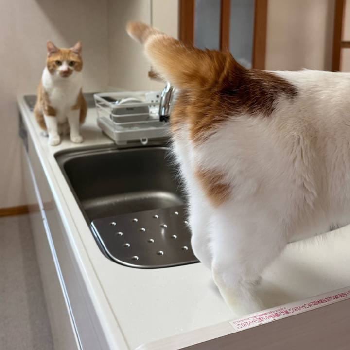 E858df63 10e7 4119 8118 b4f77cea5a05 1770689946986