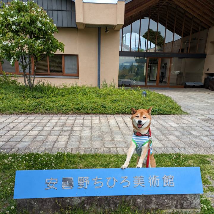 E858eee1 c292 4ed1 942d 89be1b6fa217 1716765210382