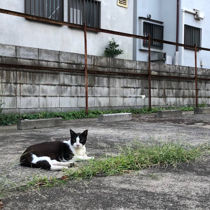 E858f65b 5430 4e1e 9ae9 08704c9b7572 1534673560963