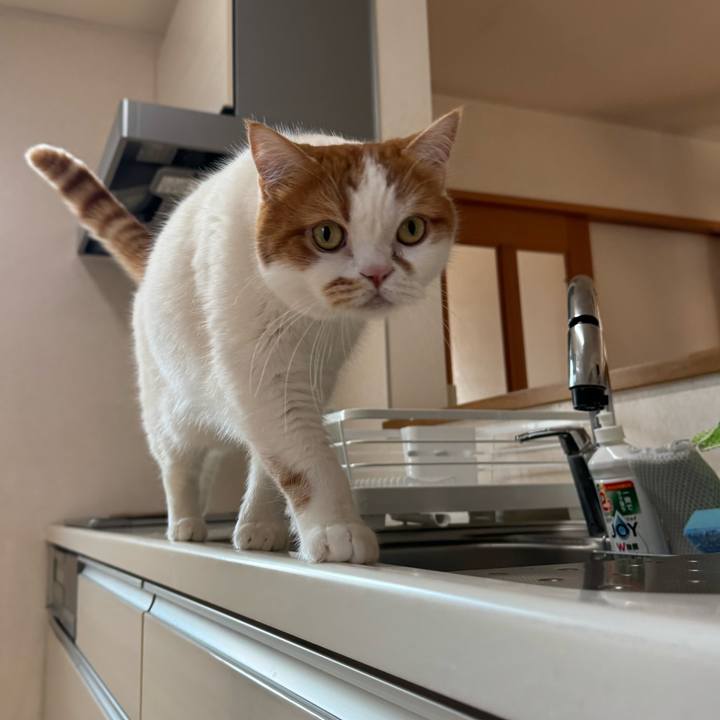 E858fe93 0397 4ee7 90d6 0f2fc0c0b384 1774153001123