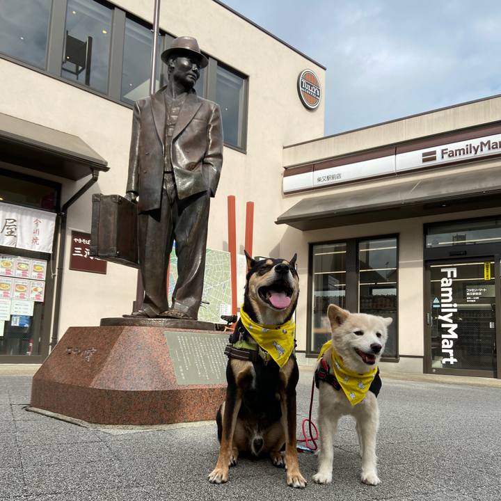 E8591bfd 85ce 4481 a03e bf676d010527 1699291164693