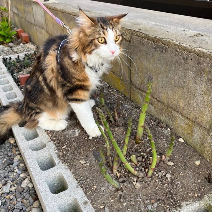 E859443a bcc6 4e79 9aa6 b3e4ad250405 1650789199477