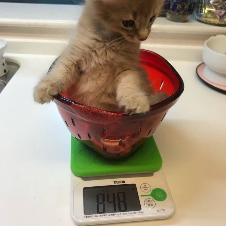 E859655f 9309 447f b2cf 5c9b3aa19e62 1563753779907