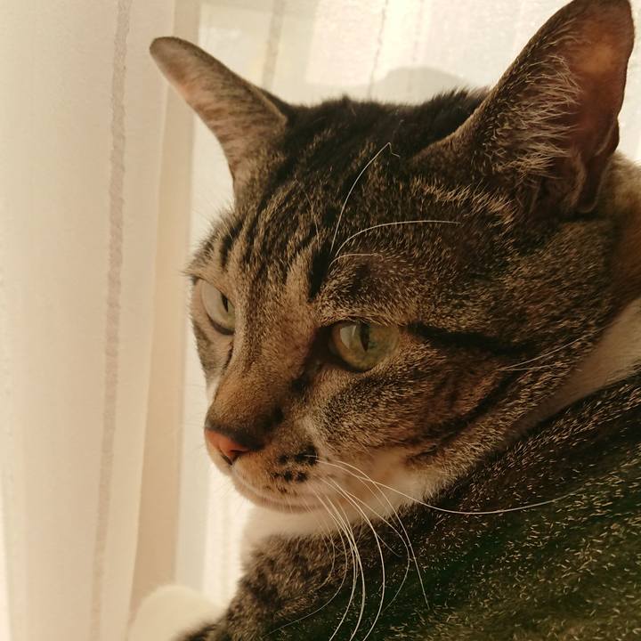 E8596e05 c5a9 4ab5 bafe 0bb4571a585e 1572647875973