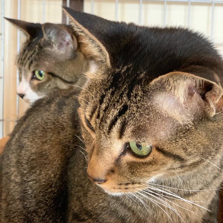 E859843f 61e3 49cb a2c5 fad52aac3586 1545093977985