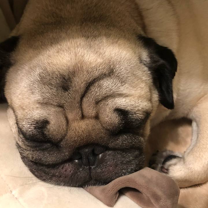 E8598679 cf1c 4c6e a3bd a5f2f7ae7c26 1524496788329