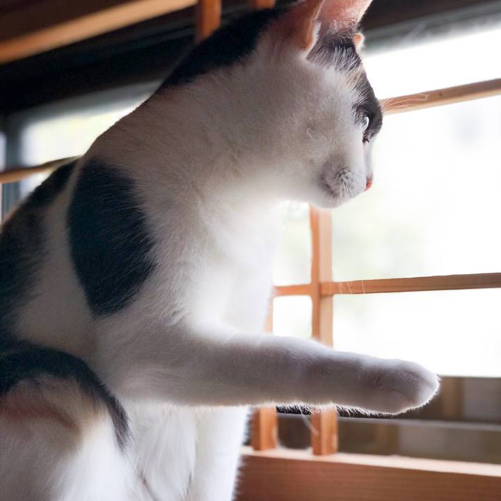 E859e368 d021 424d 91d3 902dea1cbd2b 1513509794139