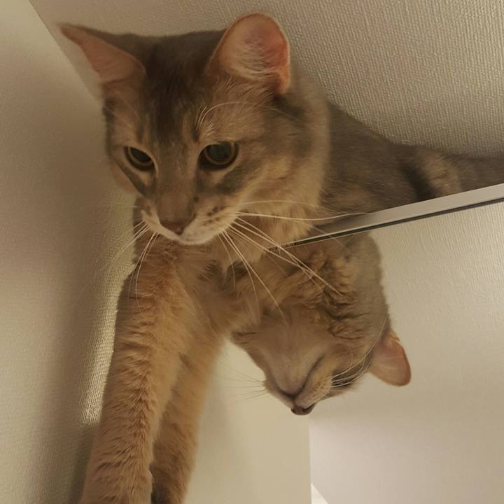 E85a08a2 2e45 442b 9ecc 684f89b80cd8 1518009064049