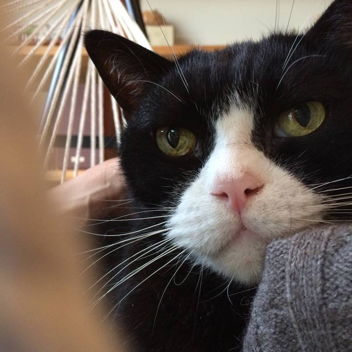 E85a0cb3 392d 4b4a 967e 0fa9e134e803 1533247741307