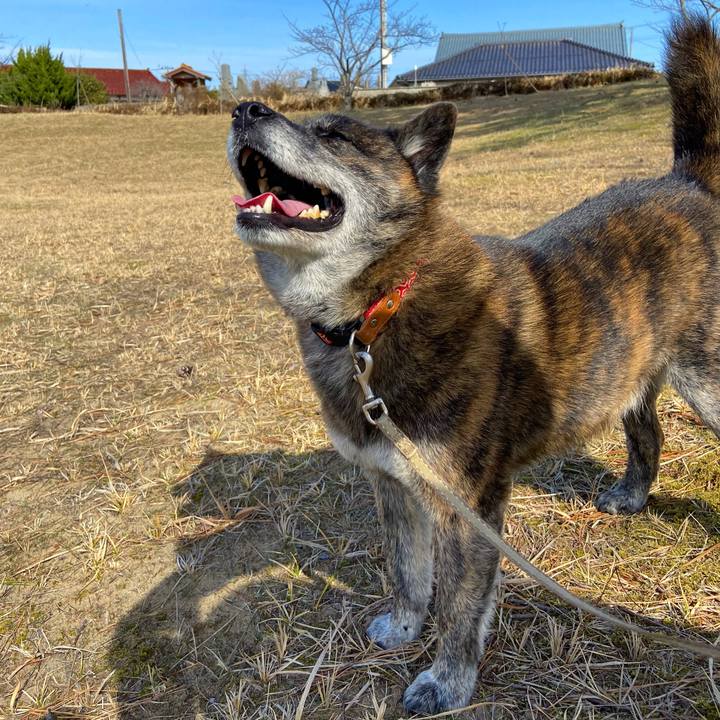 E85a408f e5c1 4279 9f07 f1d7d6fccd94 1615202799449