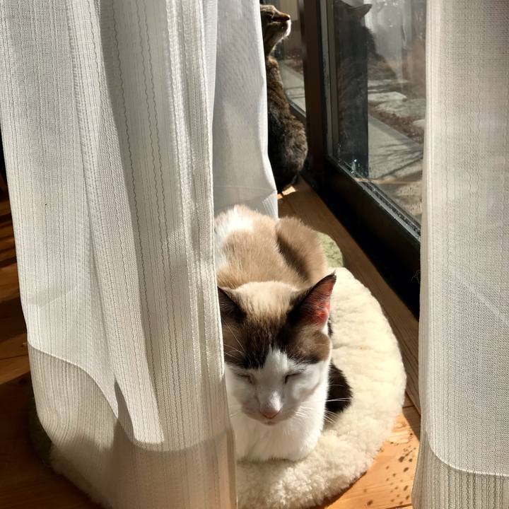 E85a626a 24d8 46e9 b74b b58245cd57cf 1611128380442