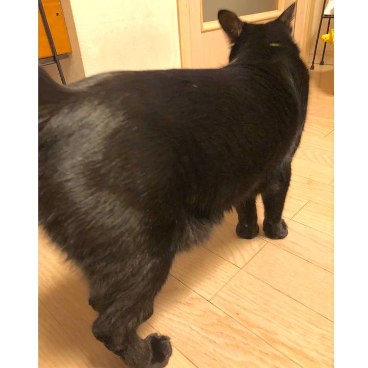 E85aa476 903f 4e67 add2 538934398d7e 1543757517124