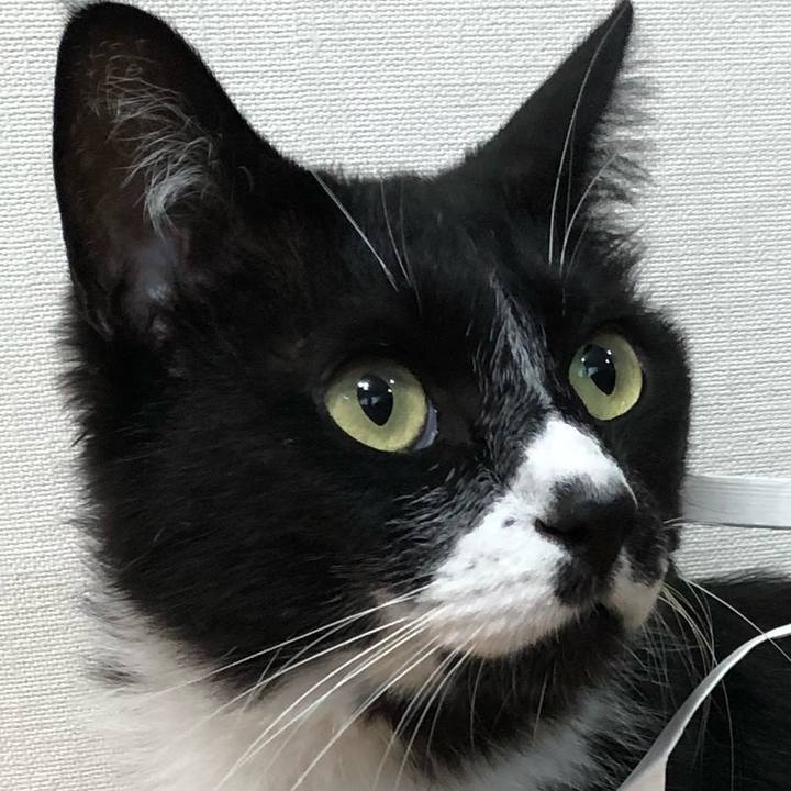 E85ab539 70ce 40ca a8cb 49c29ce0d034 1625899383359