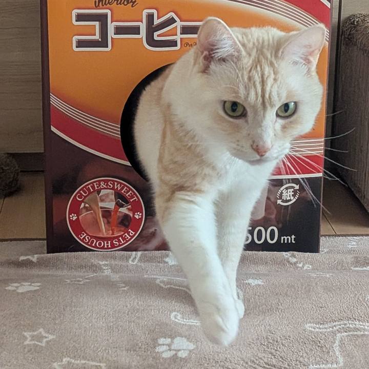 E85b0da9 d496 49a1 9e88 c475ba4c1148 1763730819937