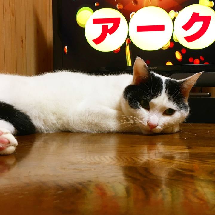 E85b2bec 70f2 4e18 ad81 a2e52562990a 1509200236286