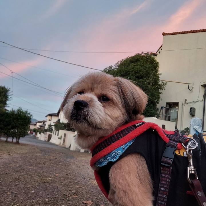 E85b3506 6348 44e7 8e06 1b51c910b9ef 1664618159343