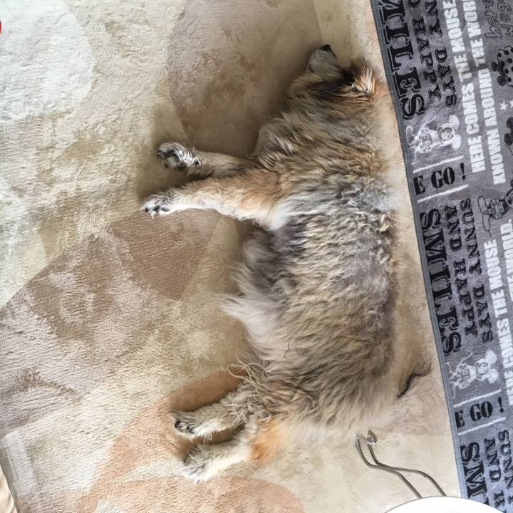 E85b5527 736b 4626 9185 900301f995eb 1599472255310