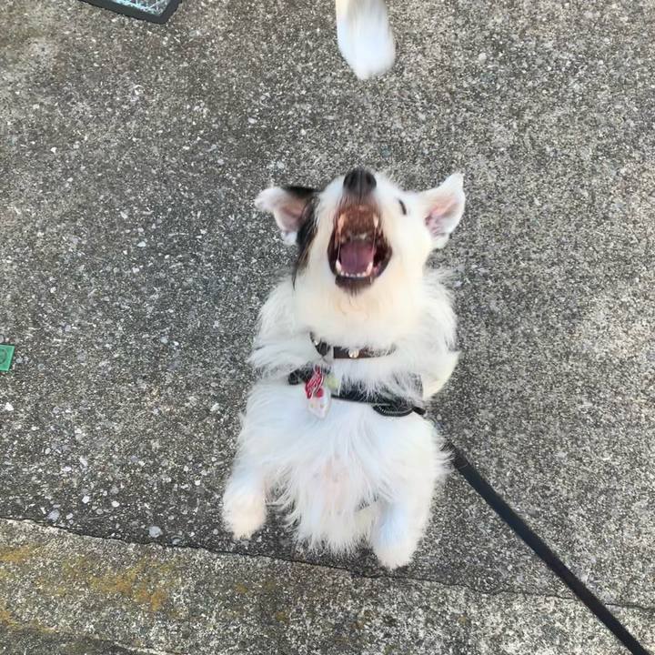 E85b6b0c fccf 4f44 8d28 2d56b803855d 1690238552794